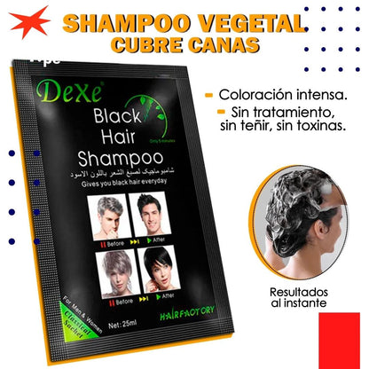 SHAMPOO CUBRE CANAS