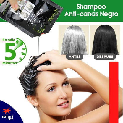 SHAMPOO CUBRE CANAS